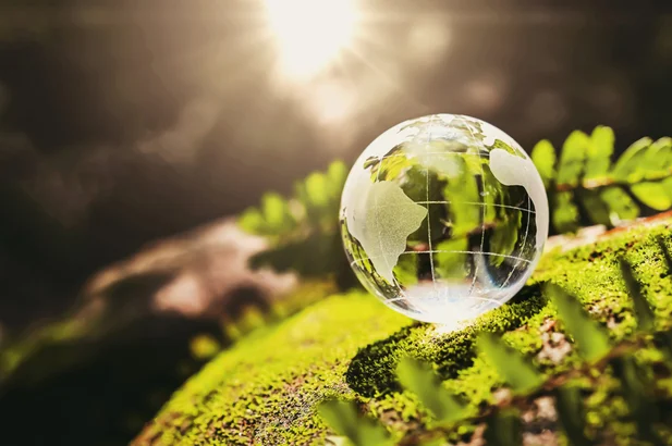 crystal-globe-glass-resting-on-moss-stone-with-sunshine-in-nature-forset-eco-environment-concept